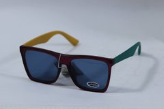 Сонцезахисні окуляри вайфарери See Vision Італія 6130G колір лінзи сірі 6131