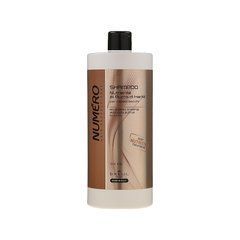 Питательный шампунь для волос с маслами Карите и авокадо Brelil Numero 1000 ml