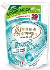 Гель для стирки Spuma di Sciampagna Fresco Lavatrice 29 стирок  1305  мл