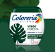 Coloreria Italiana фарба для одягу verde foresta лісовий зелений 350 г