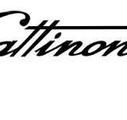 GATTINONI