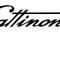 GATTINONI