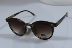Сонцезахисні окуляри See Vision Італія 3830G клабмастери 3834
