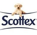 Scottex