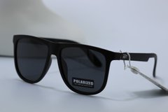 Сонцезахисні окуляри ВайфарериRPN polarized 6670G колір лінзи чорні 6670