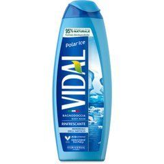 Гель для душу VIDAL Polar Ice  500 мл
