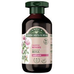 Шампунь для волос ANTICA ERBORISTERIA питательный шампунь с ароматом розы 250 мл